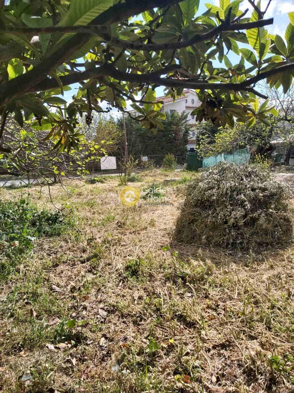 Οικόπεδο στην Πυργούθι, Αχαρνές — Φωτογραφία 4 από 8