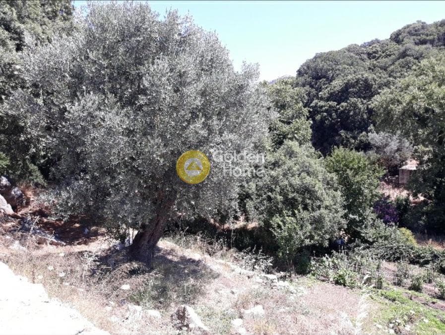 Building Plot in Kinidaros, Naxos — Photo 7 of 12