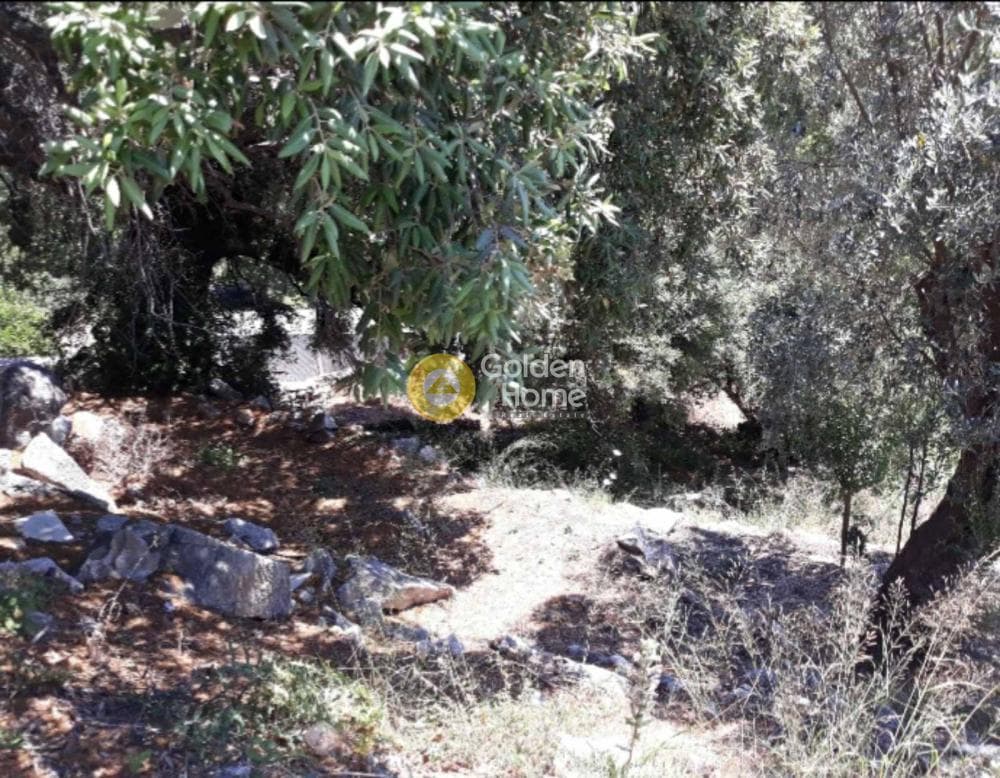 Building Plot in Kinidaros, Naxos — Photo 8 of 12