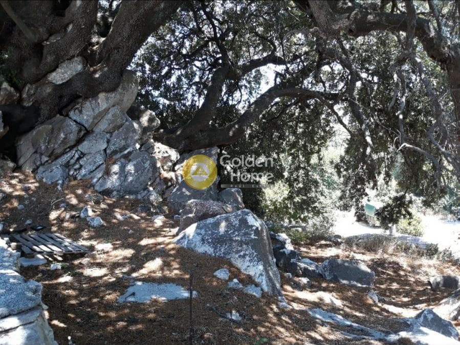 Building Plot in Kinidaros, Naxos — Photo 10 of 12