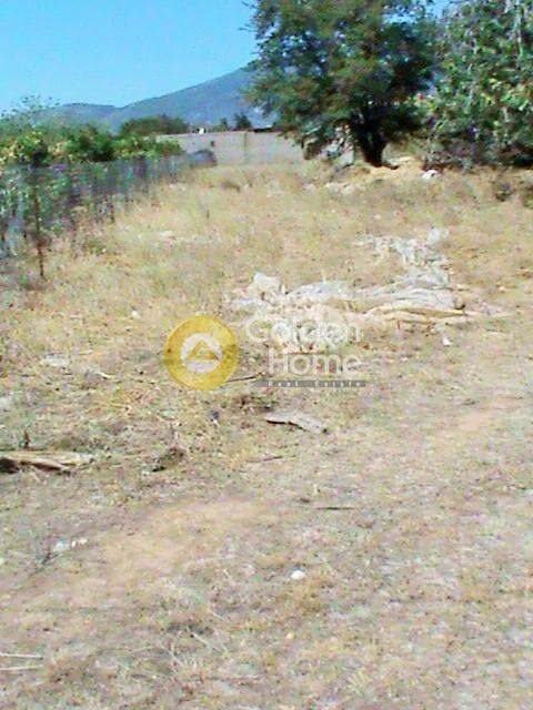 Αγροτεμάχιο στην Μεγάλα Σχοινία Α, Αχαρνές — Φωτογραφία 3 από 3