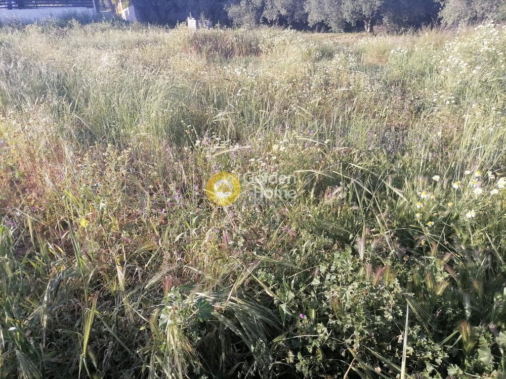 Building Plot in Faneromeni, Moires — Photo 7 of 10