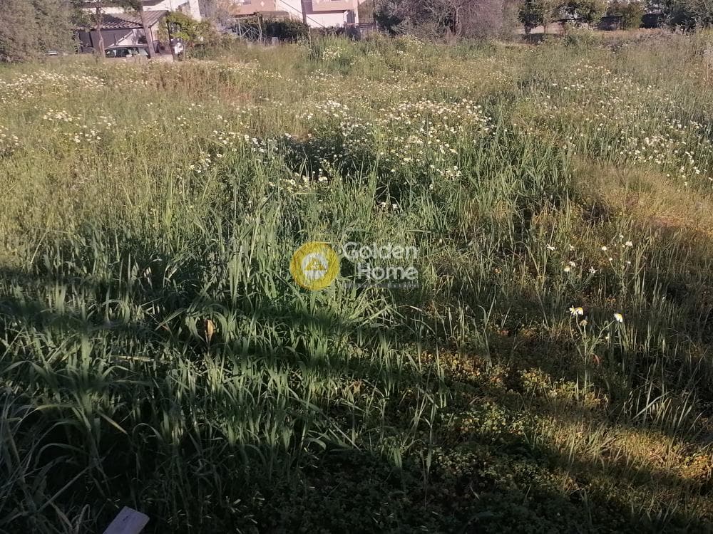 Building Plot in Faneromeni, Moires — Photo 9 of 10