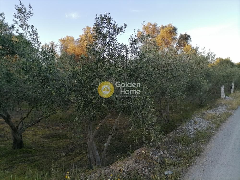 Οικόπεδο στην Φανερωμένη, Μοίρες — Φωτογραφία 4 από 12