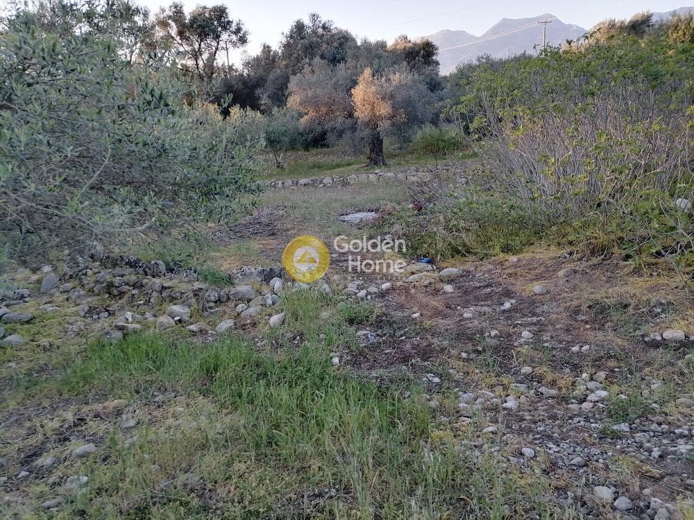 Οικόπεδο στην Φανερωμένη, Μοίρες — Φωτογραφία 5 από 12