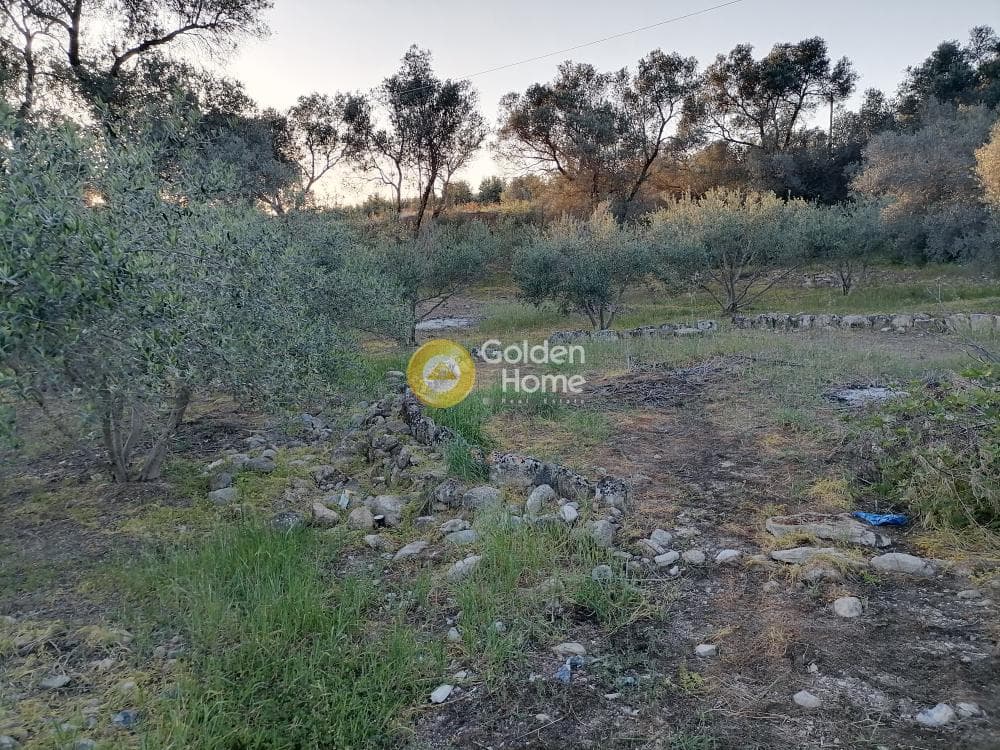 Οικόπεδο στην Φανερωμένη, Μοίρες — Φωτογραφία 1 από 12