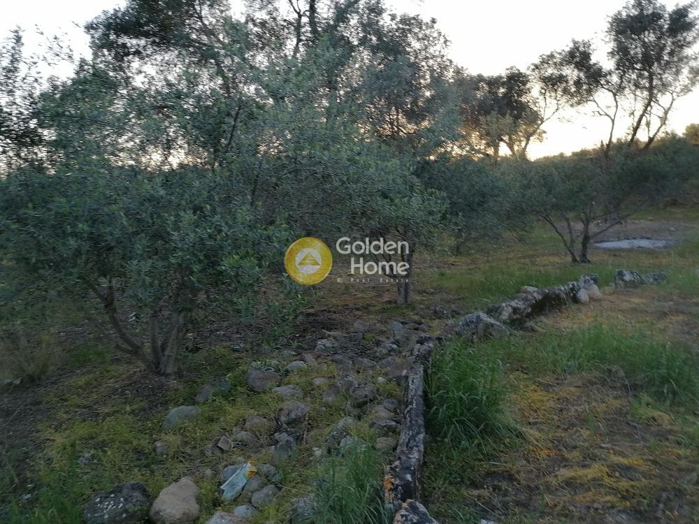 Οικόπεδο στην Φανερωμένη, Μοίρες — Φωτογραφία 6 από 12