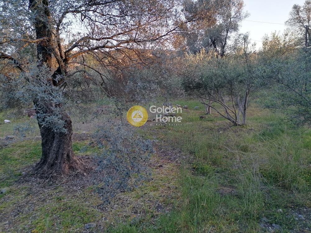 Οικόπεδο στην Φανερωμένη, Μοίρες — Φωτογραφία 7 από 12