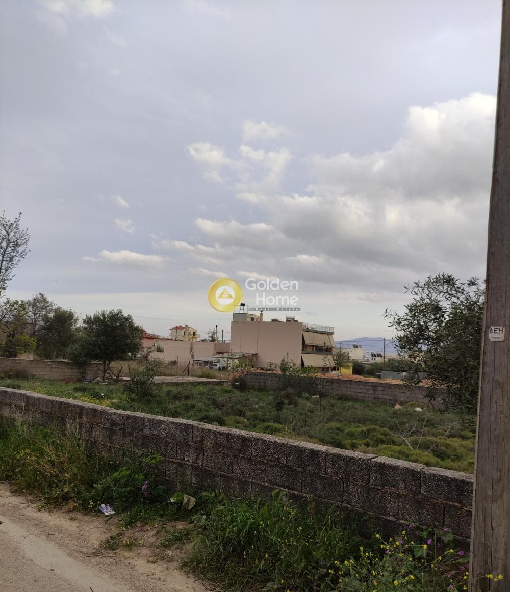 Parcel in Megala Sxoinia A, Acharnes — Photo 7 of 8