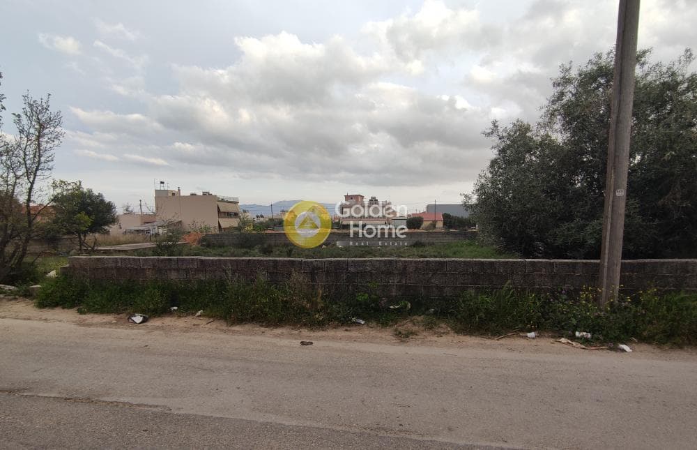 Parcel in Megala Sxoinia A, Acharnes — Photo 8 of 8