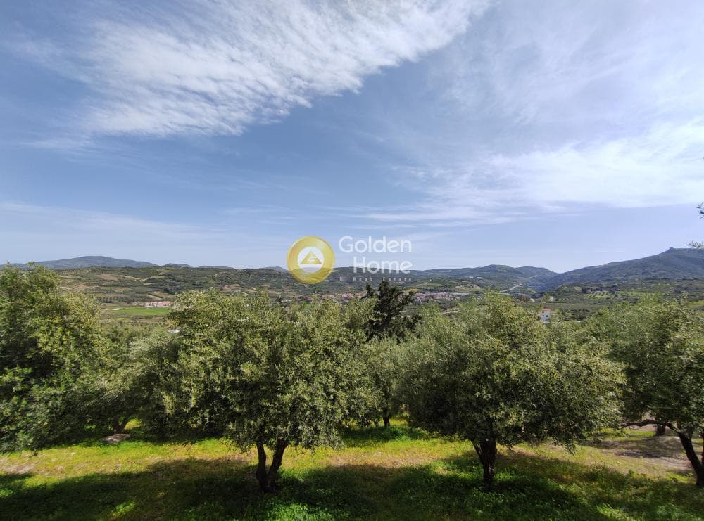 Οικόπεδο στην Κερασιά, Τετραχώρι — Φωτογραφία 7 από 9