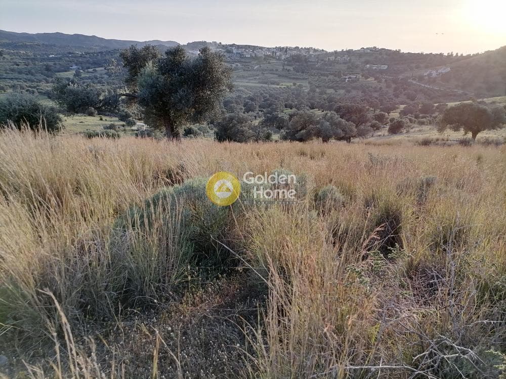 Αγροτεμάχιο στην Καμηλάρι, Τυμπάκι — Φωτογραφία 5 από 21