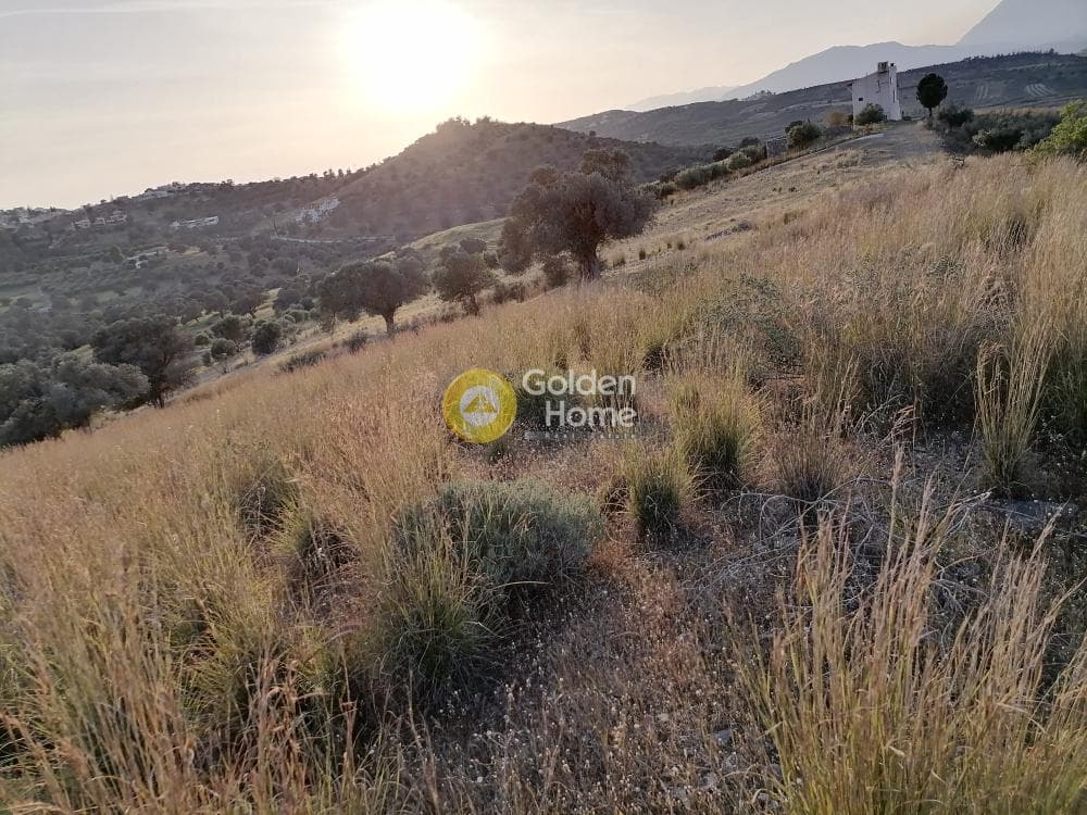 Αγροτεμάχιο στην Καμηλάρι, Τυμπάκι — Φωτογραφία 7 από 21
