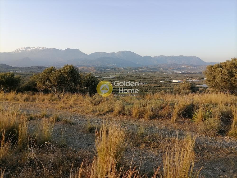 Αγροτεμάχιο στην Καμηλάρι, Τυμπάκι — Φωτογραφία 8 από 21