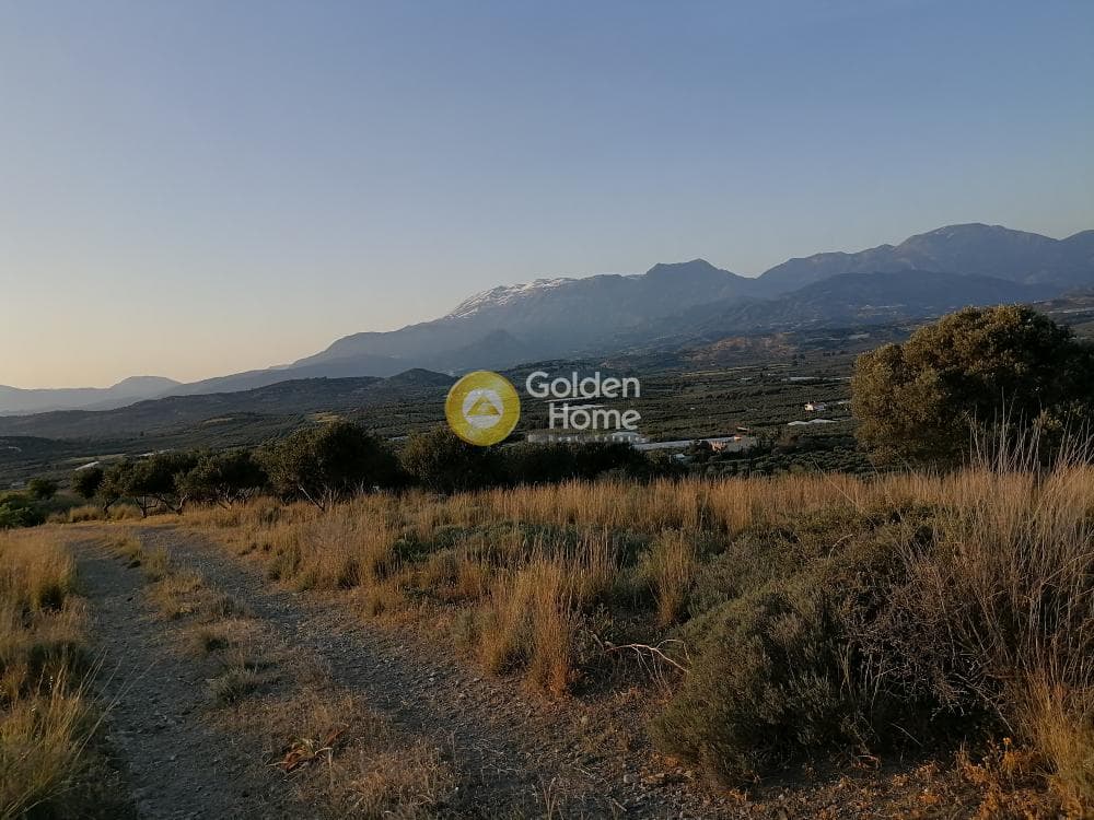 Αγροτεμάχιο στην Καμηλάρι, Τυμπάκι — Φωτογραφία 11 από 21