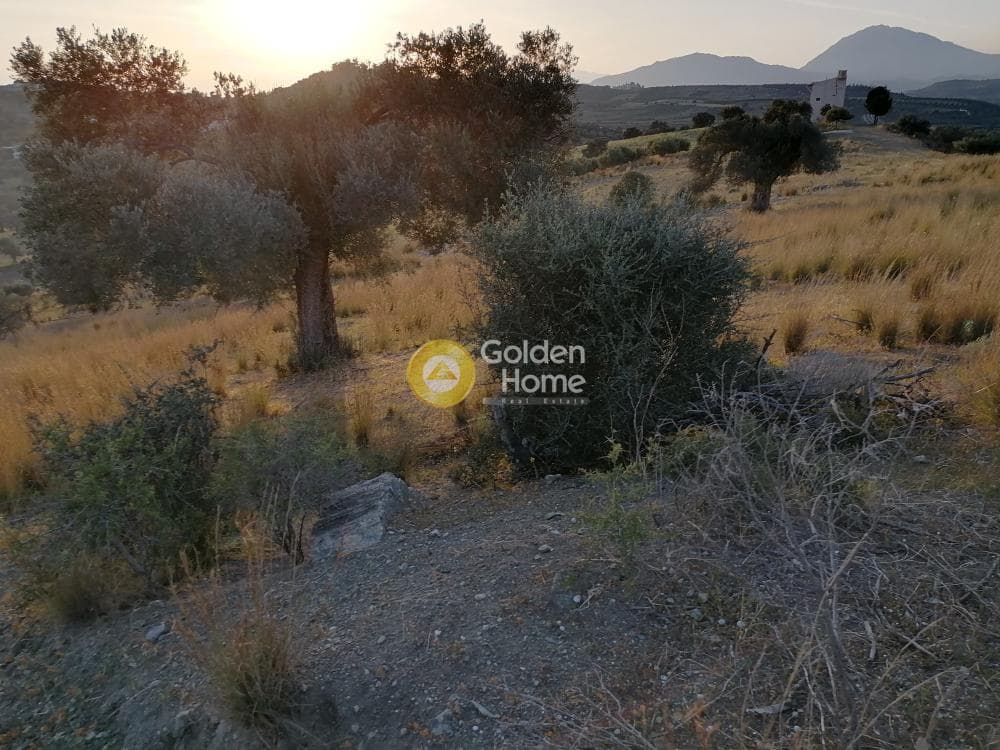 Αγροτεμάχιο στην Καμηλάρι, Τυμπάκι — Φωτογραφία 13 από 21