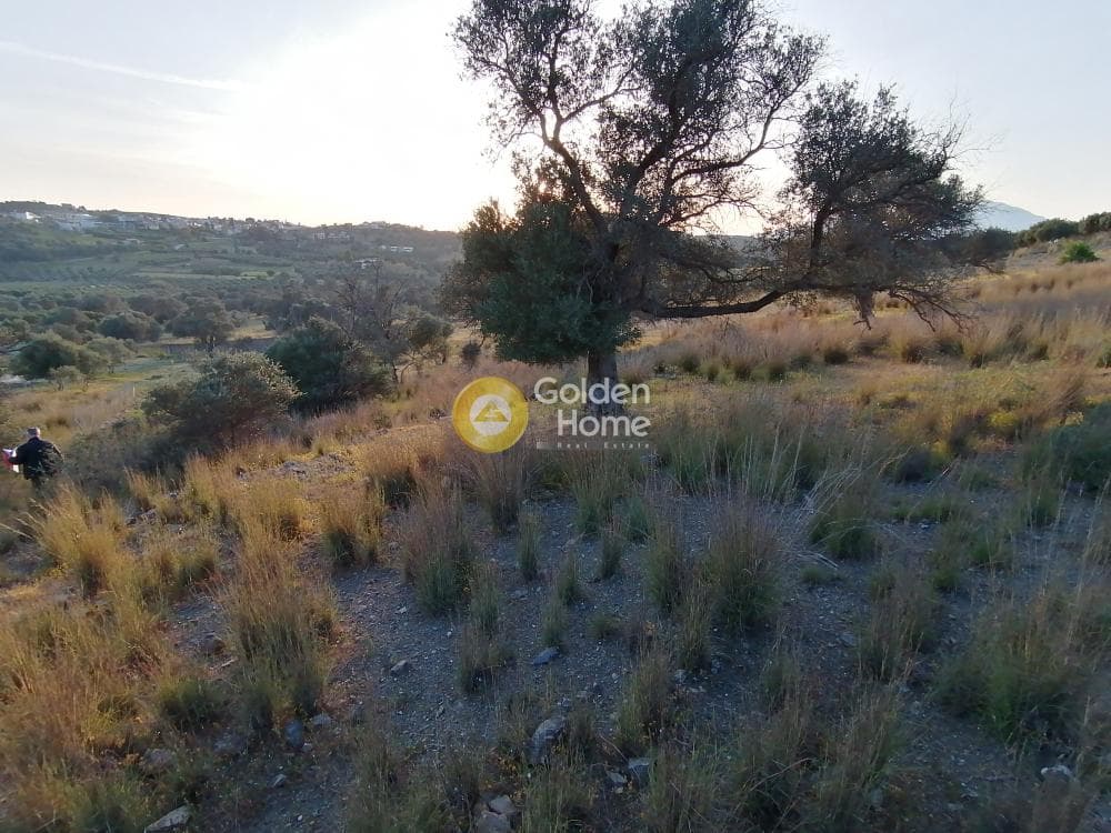 Αγροτεμάχιο στην Καμηλάρι, Τυμπάκι — Φωτογραφία 18 από 21