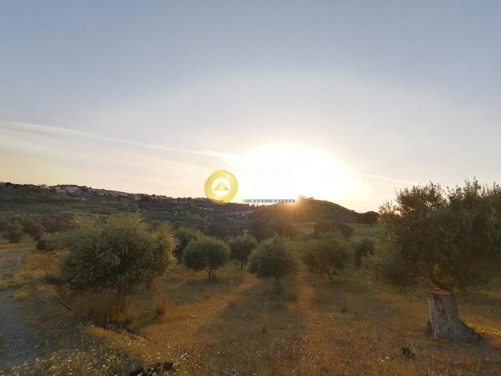 Αγροτεμάχιο στην Καμηλάρι, Τυμπάκι — Φωτογραφία 3 από 21