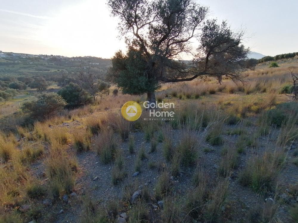 Αγροτεμάχιο στην Καμηλάρι, Τυμπάκι — Φωτογραφία 21 από 21