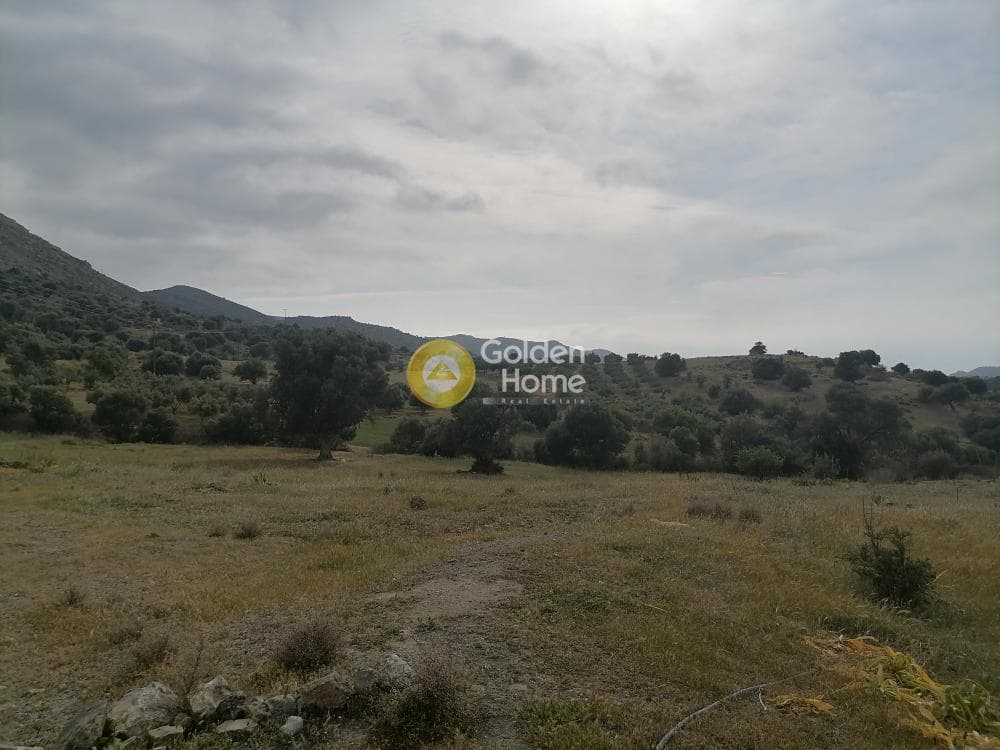 Οικόπεδο στην Λίσταρος, Μοίρες — Φωτογραφία 3 από 14