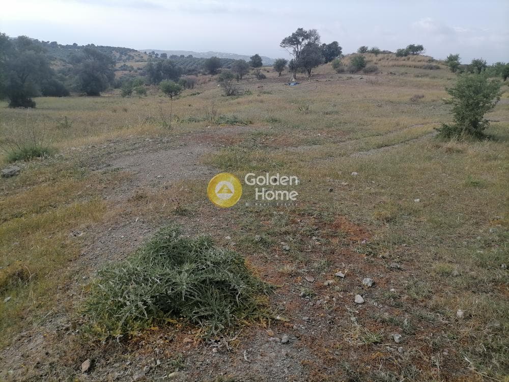 Οικόπεδο στην Λίσταρος, Μοίρες — Φωτογραφία 8 από 14