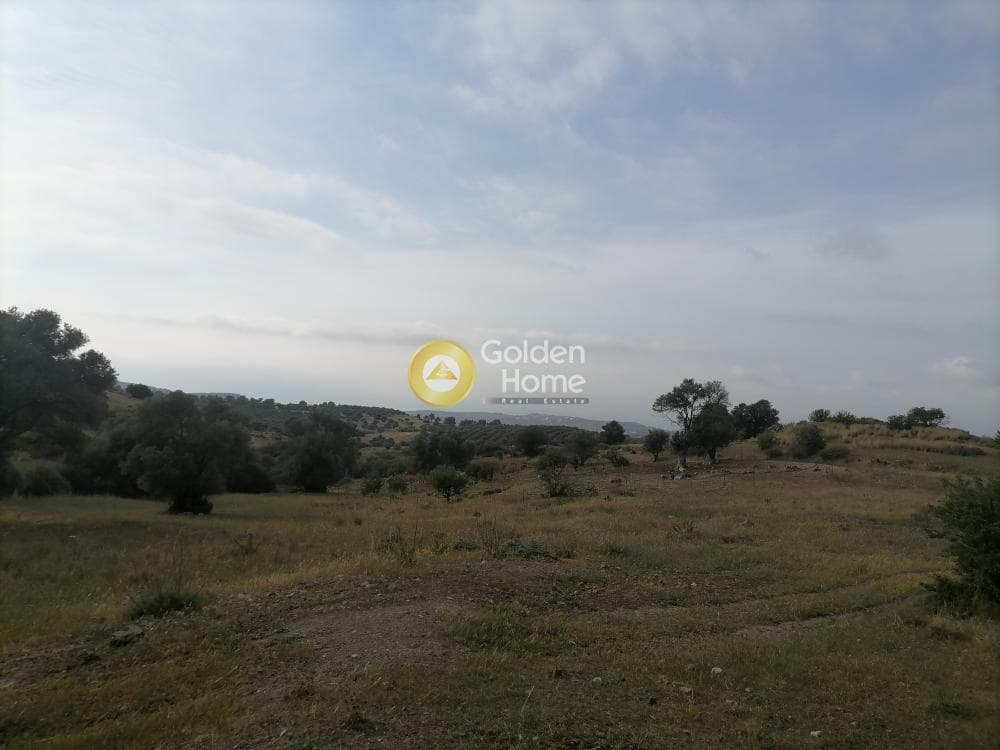 Οικόπεδο στην Λίσταρος, Μοίρες — Φωτογραφία 1 από 14