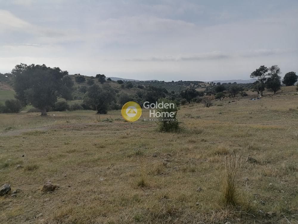 Οικόπεδο στην Λίσταρος, Μοίρες — Φωτογραφία 4 από 14