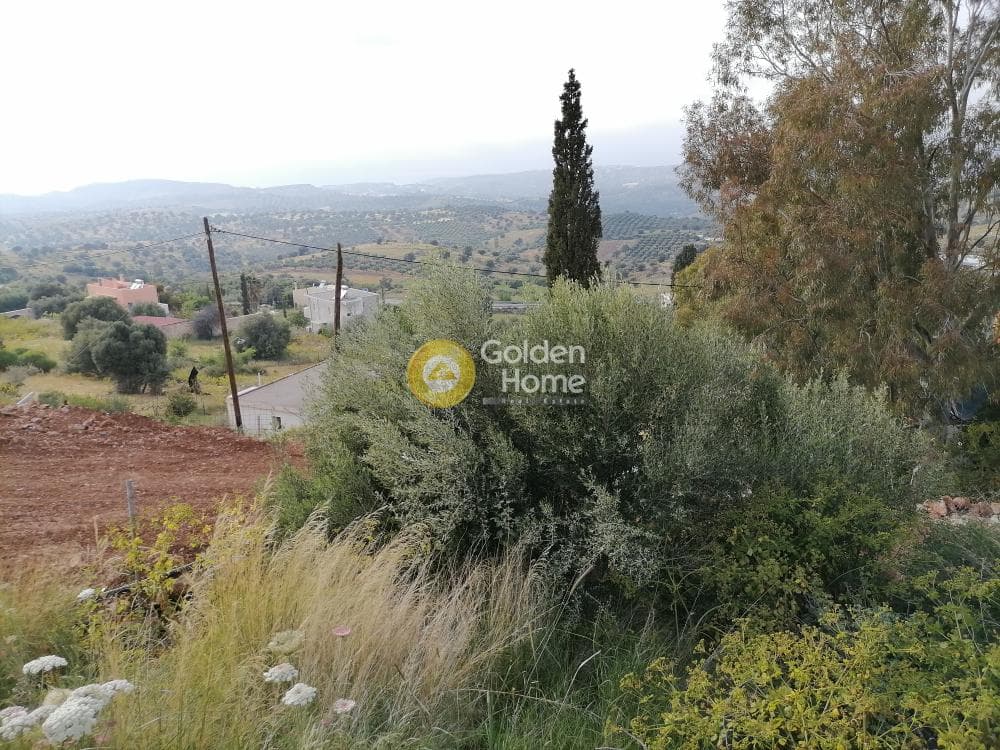 Οικόπεδο στην Λίσταρος, Μοίρες — Φωτογραφία 13 από 16