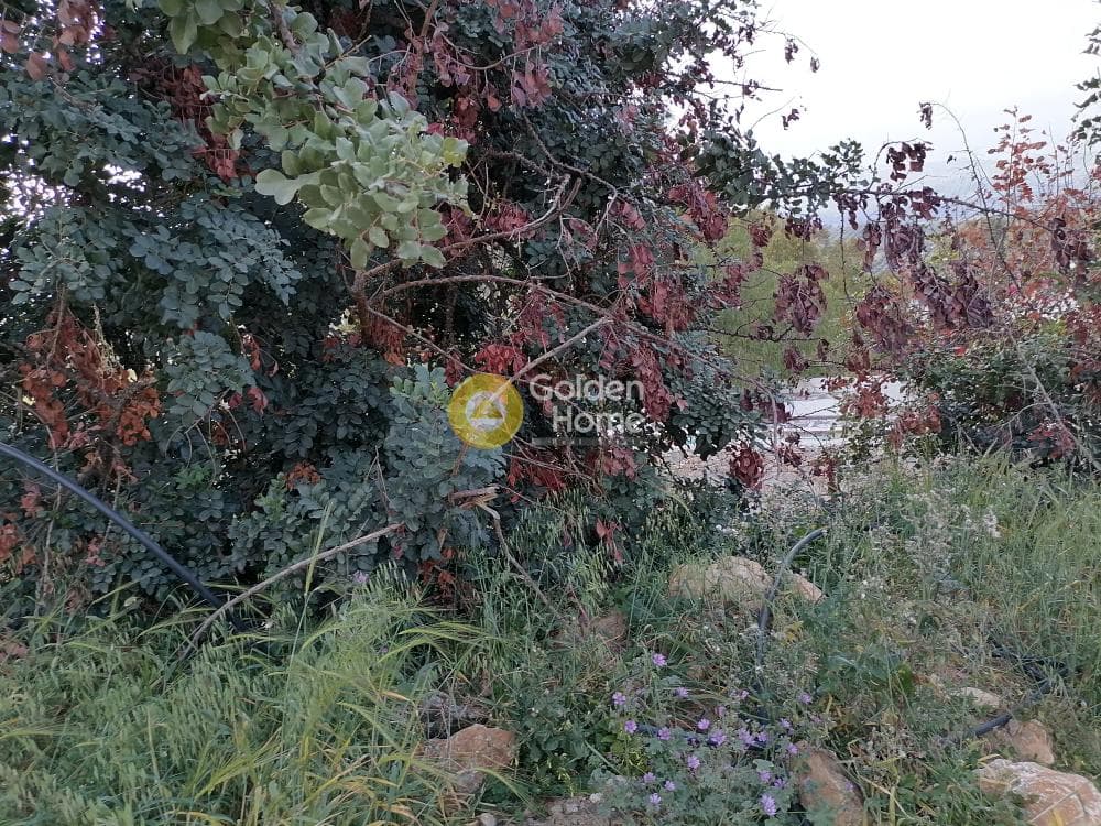 Οικόπεδο στην Λίσταρος, Μοίρες — Φωτογραφία 15 από 16