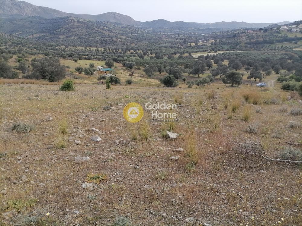 Αγροτεμάχιο στην Καμηλάρι, Τυμπάκι — Φωτογραφία 1 από 17