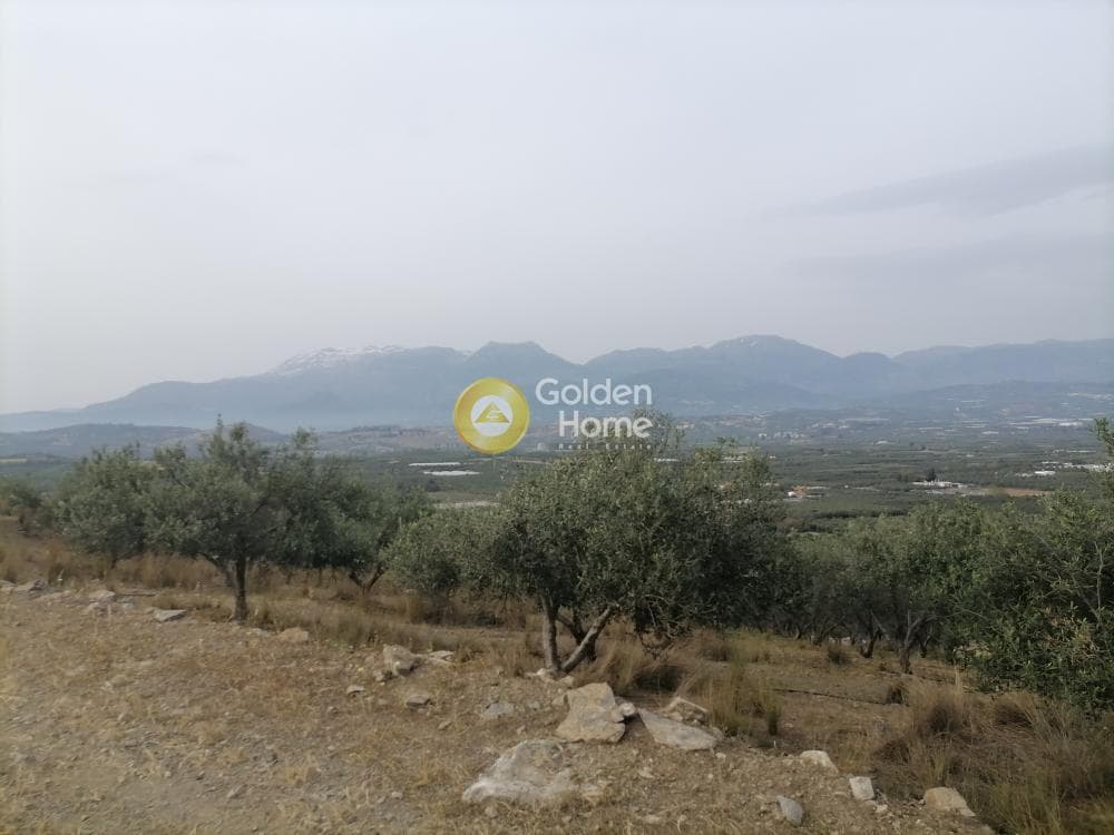 Αγροτεμάχιο στην Καμηλάρι, Τυμπάκι — Φωτογραφία 4 από 17