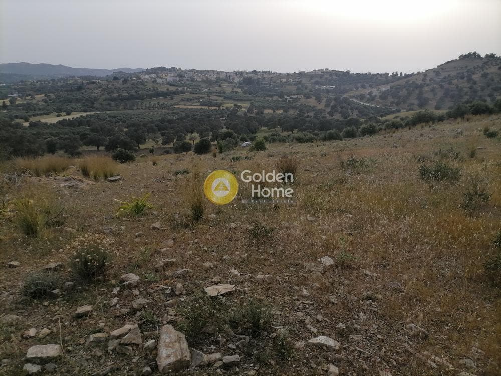 Αγροτεμάχιο στην Καμηλάρι, Τυμπάκι — Φωτογραφία 5 από 17