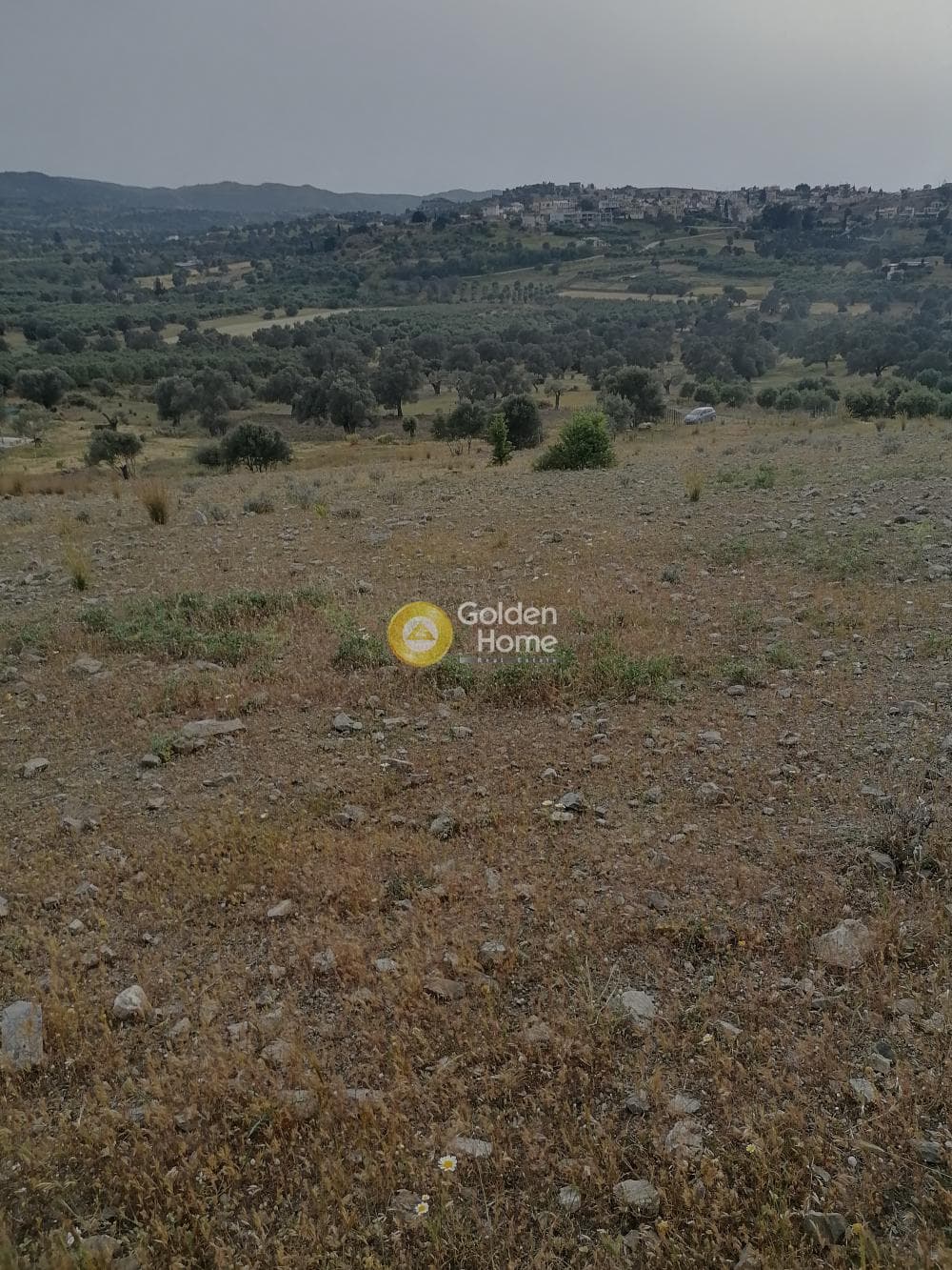 Αγροτεμάχιο στην Καμηλάρι, Τυμπάκι — Φωτογραφία 6 από 17