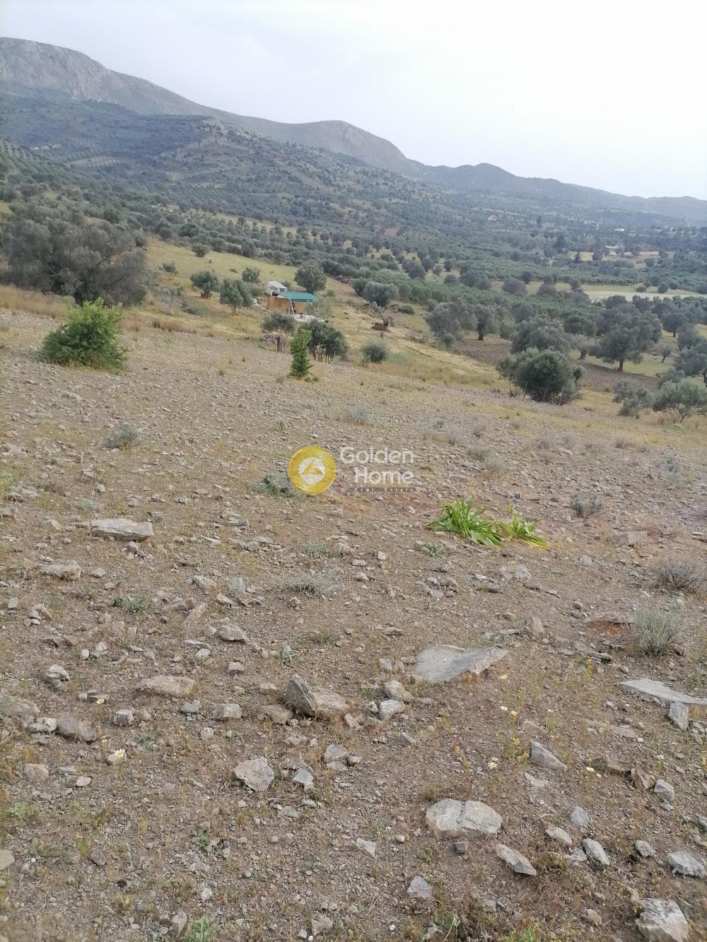 Αγροτεμάχιο στην Καμηλάρι, Τυμπάκι — Φωτογραφία 7 από 17