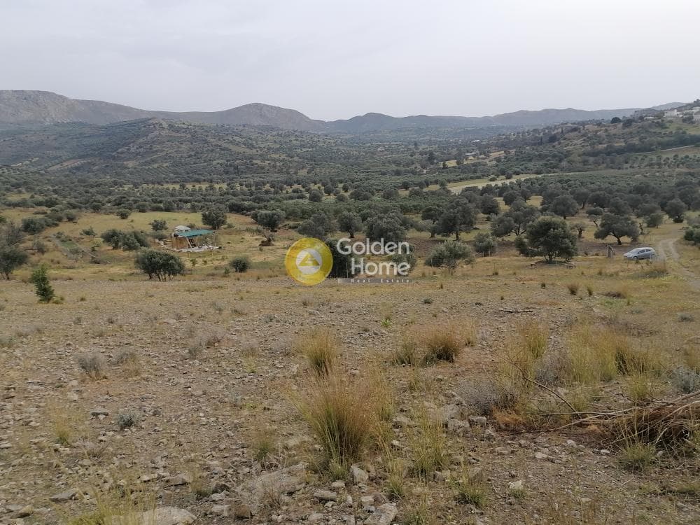Αγροτεμάχιο στην Καμηλάρι, Τυμπάκι — Φωτογραφία 10 από 17