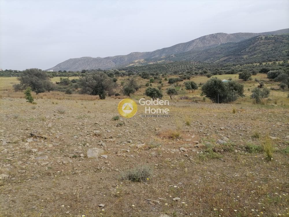 Αγροτεμάχιο στην Καμηλάρι, Τυμπάκι — Φωτογραφία 12 από 17