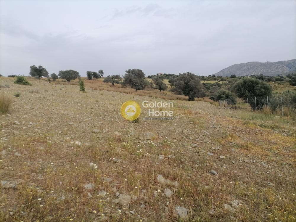 Αγροτεμάχιο στην Καμηλάρι, Τυμπάκι — Φωτογραφία 13 από 17