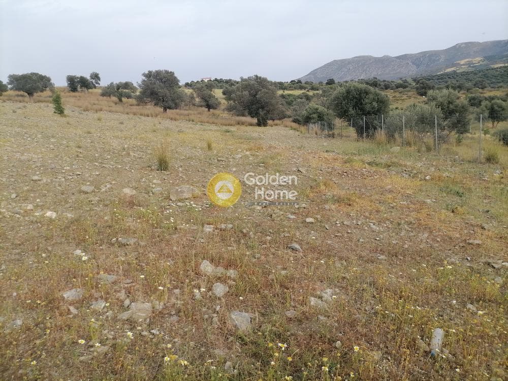 Αγροτεμάχιο στην Καμηλάρι, Τυμπάκι — Φωτογραφία 15 από 17