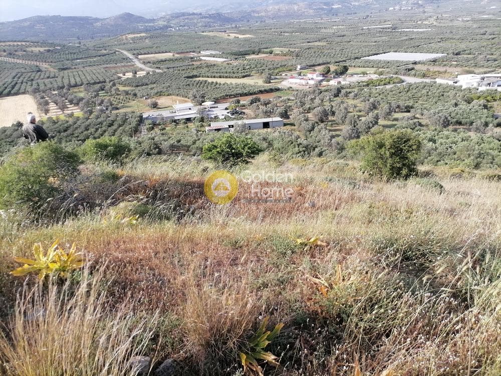 Parcel in Kouses, Moires — Photo 10 of 24