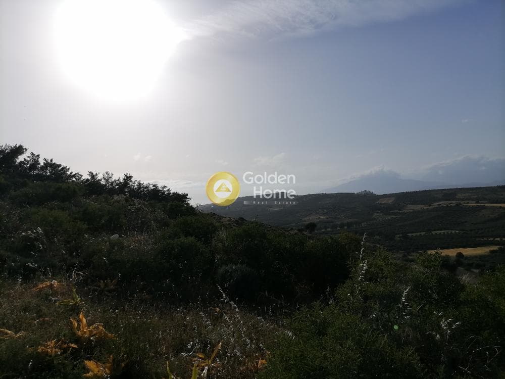 Parcel in Kouses, Moires — Photo 6 of 24