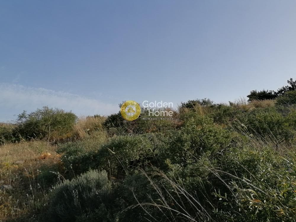 Parcel in Kouses, Moires — Photo 9 of 24
