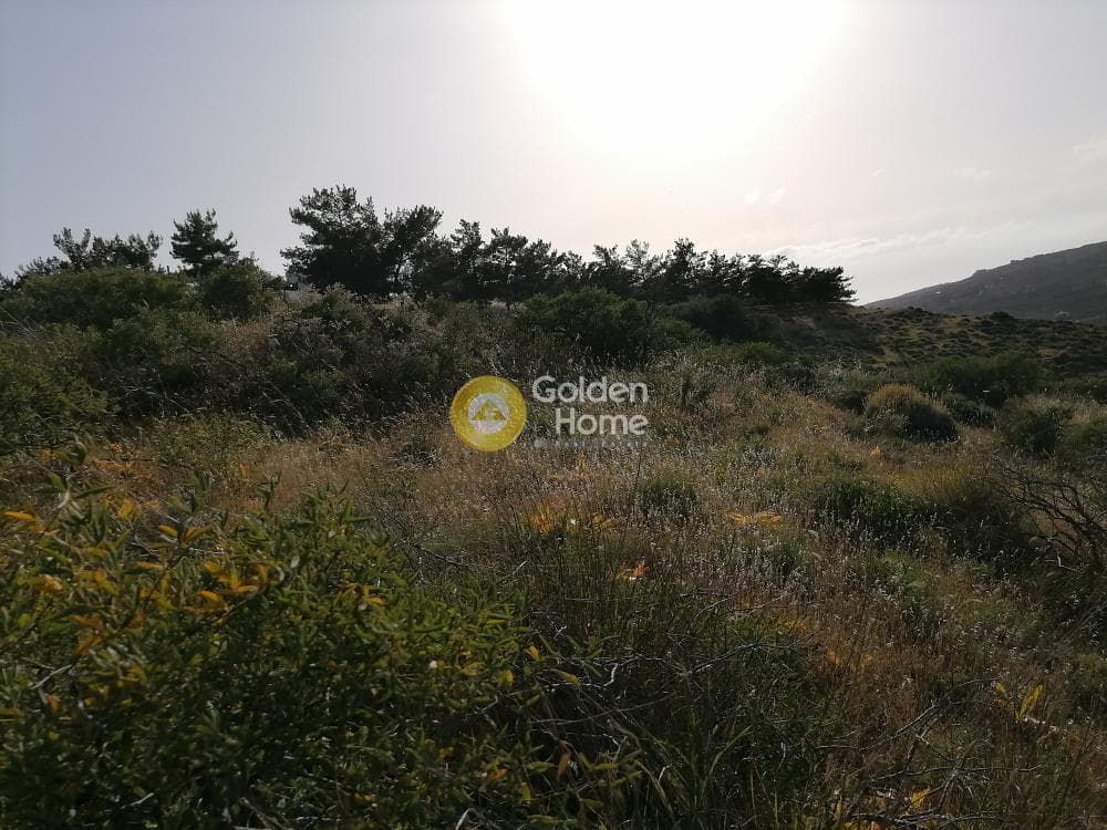 Parcel in Kouses, Moires — Photo 4 of 24