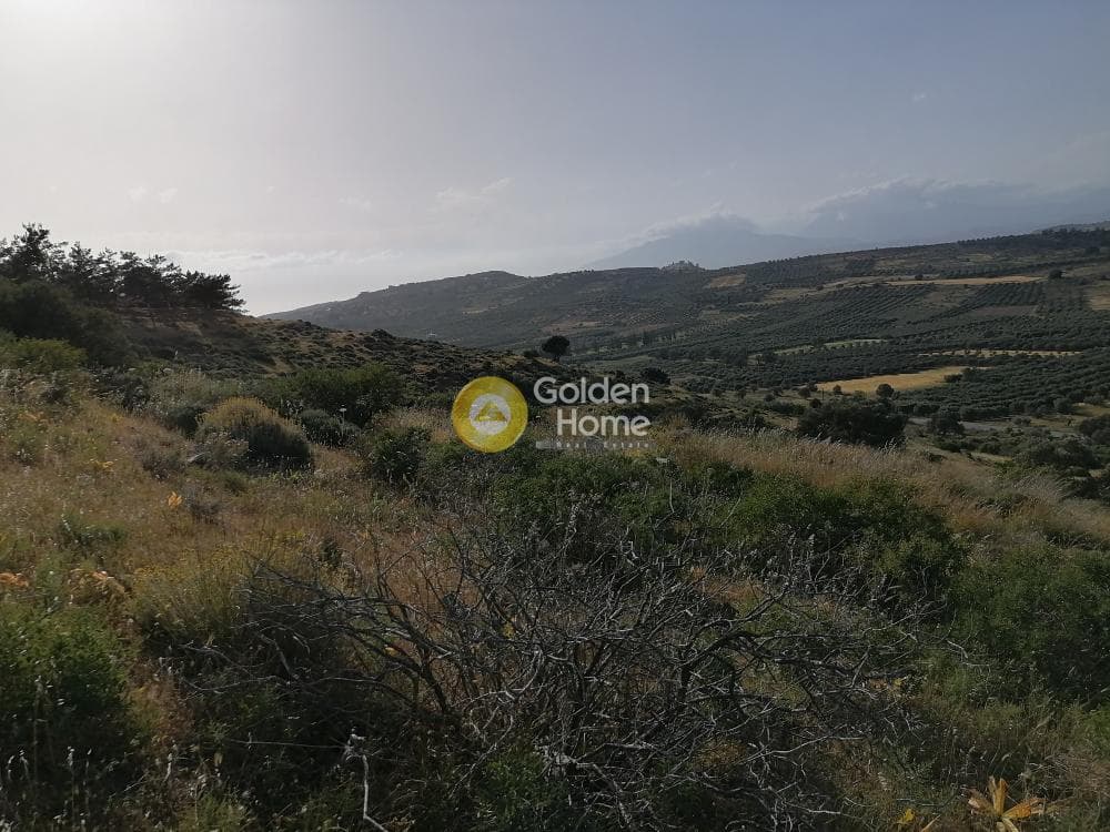 Parcel in Kouses, Moires — Photo 7 of 24