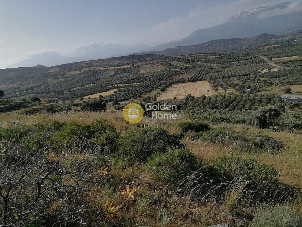 Parcel in Kouses, Moires — Photo 8 of 24