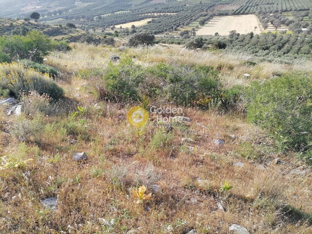 Parcel in Kouses, Moires — Photo 11 of 24