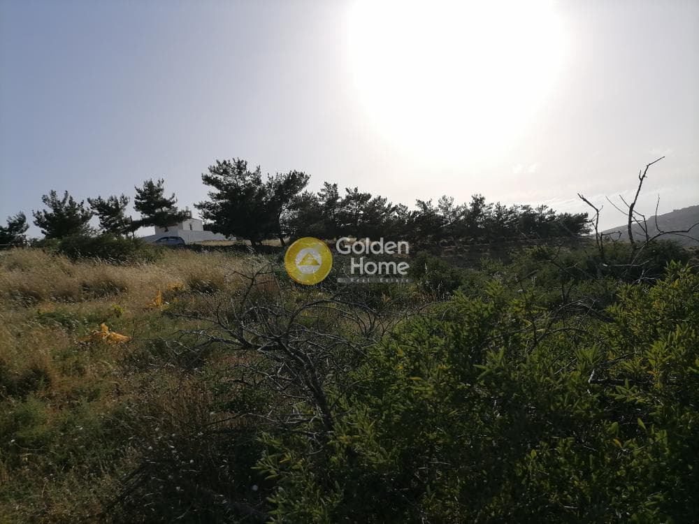 Parcel in Kouses, Moires — Photo 14 of 24