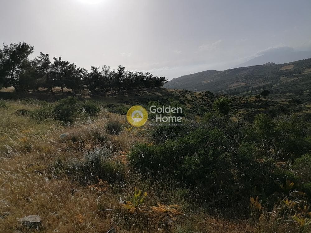 Parcel in Kouses, Moires — Photo 15 of 24