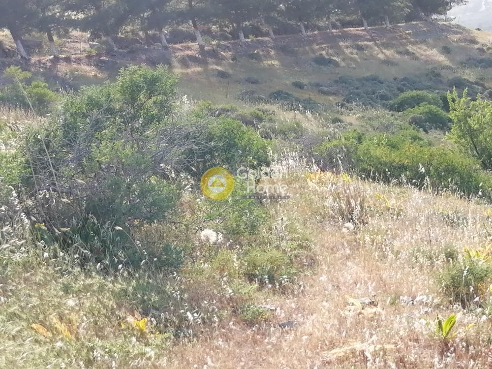 Parcel in Kouses, Moires — Photo 17 of 24