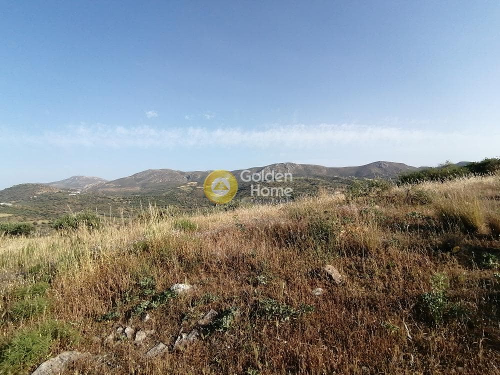 Parcel in Kouses, Moires — Photo 18 of 24