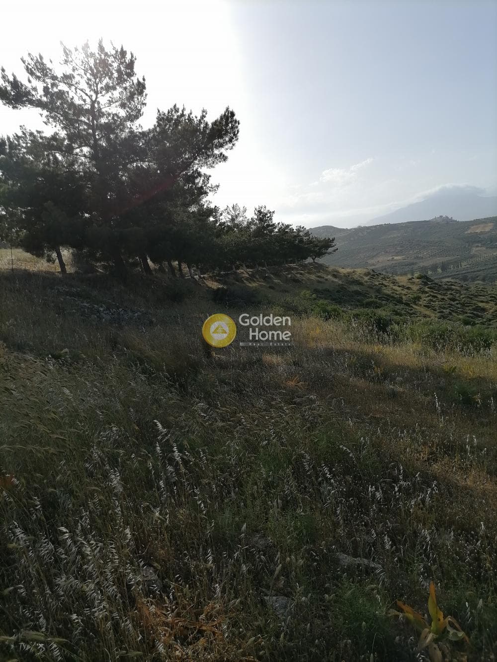 Parcel in Kouses, Moires — Photo 23 of 24